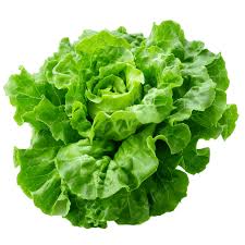 Lechuga Rulito