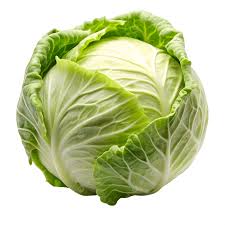 Repollo Blanco