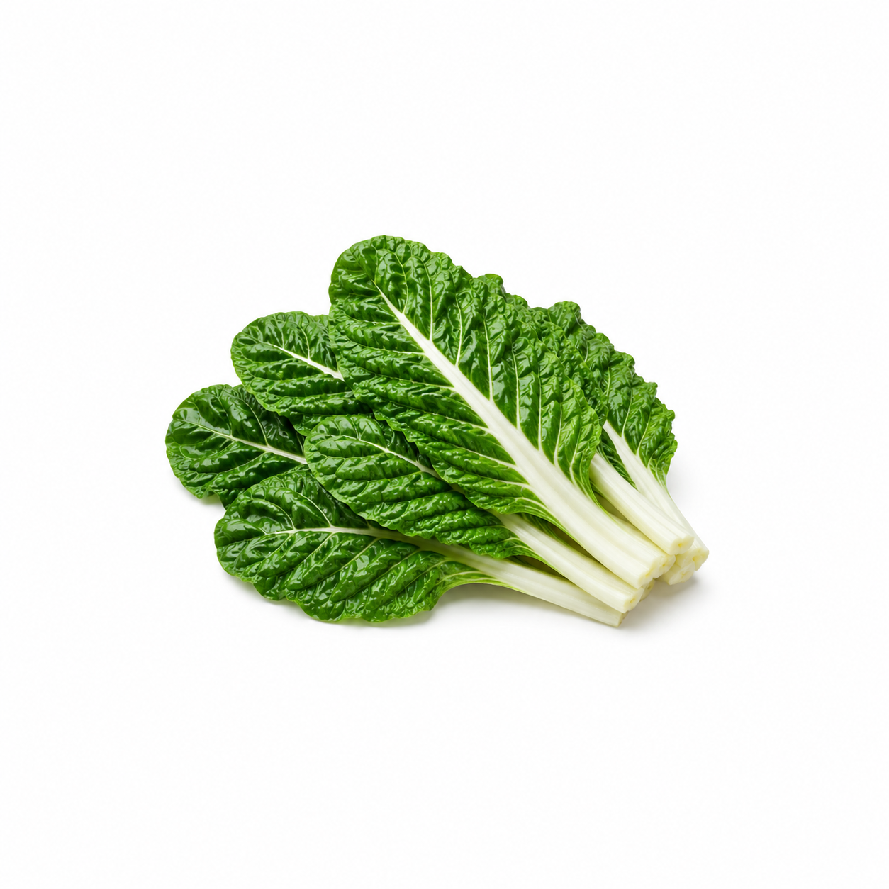 Acelga