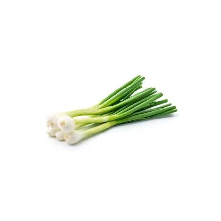 Cebolla Verdeo
