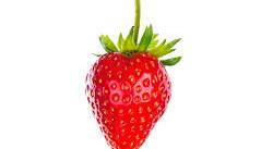 Frutilla Caja x Blisters